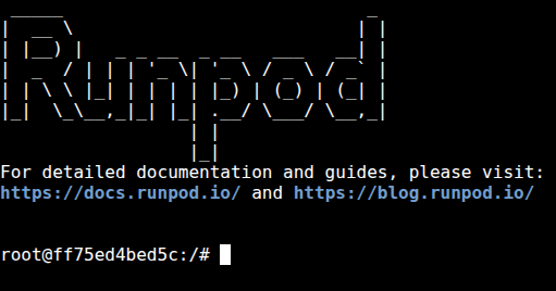 RunPodのPodにデプロイ直後、数十秒でroot@プロンプトが表示されたターミナル画面