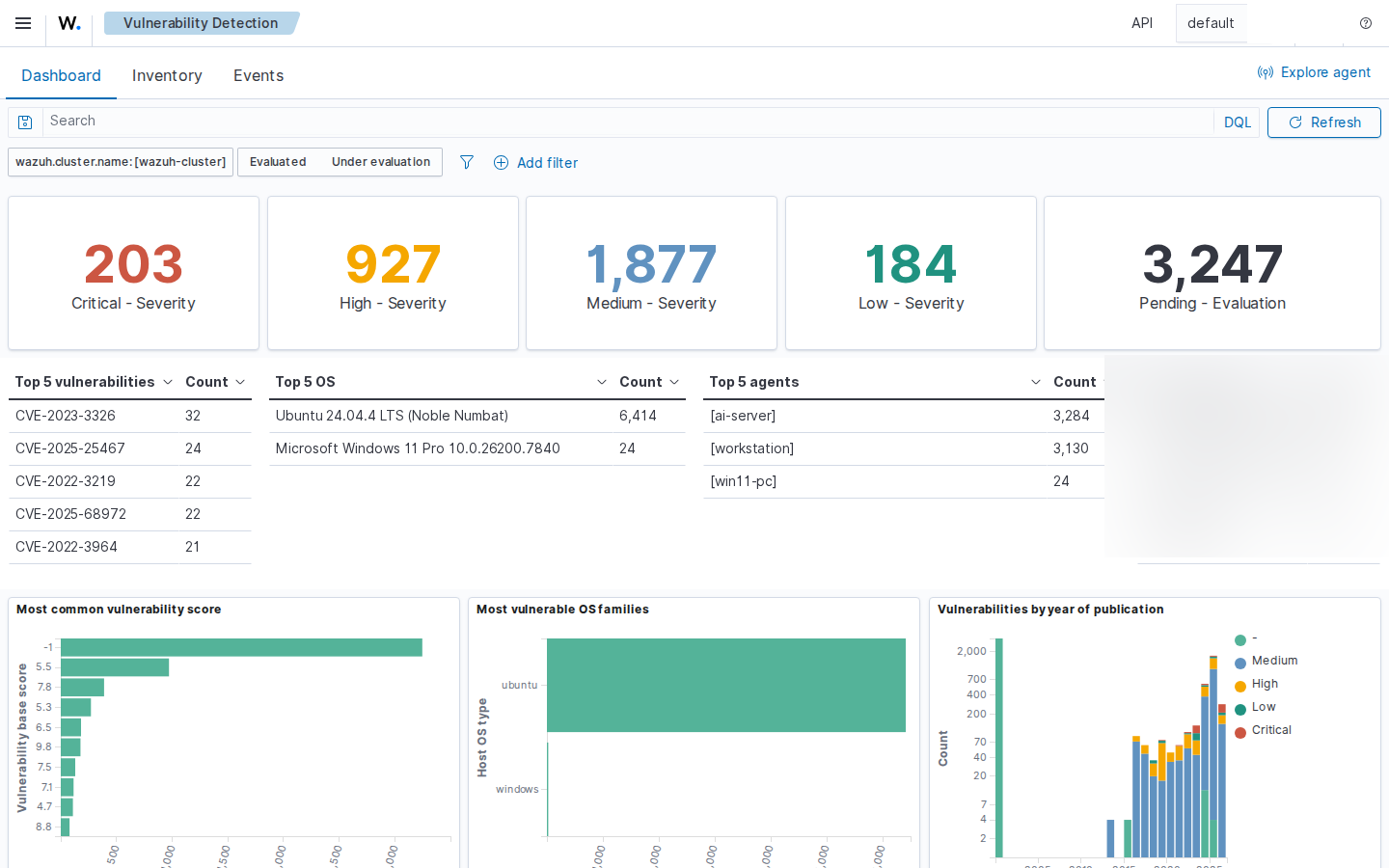 Vulnerability Detection